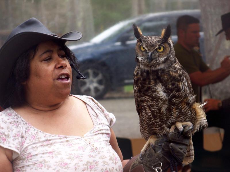 Marla Isaac, the owner of the Taunton-based New England Reptile and Raptor Exhibit, shows of Mack, a great horned owl. As a master falconer, Isaac uses Mack to hunt game. BY MATTHEW BERNAT